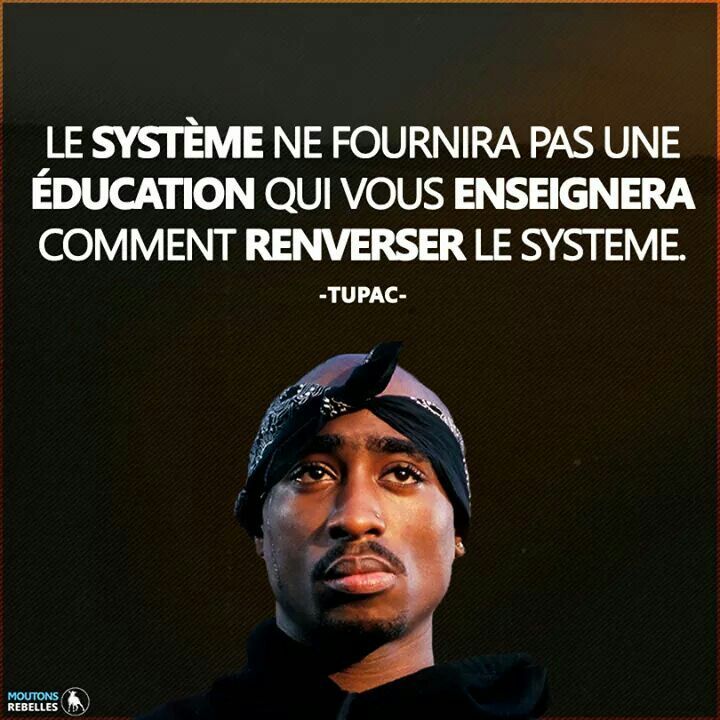 344d69ae7b81fafd2365f3b9fe011f67