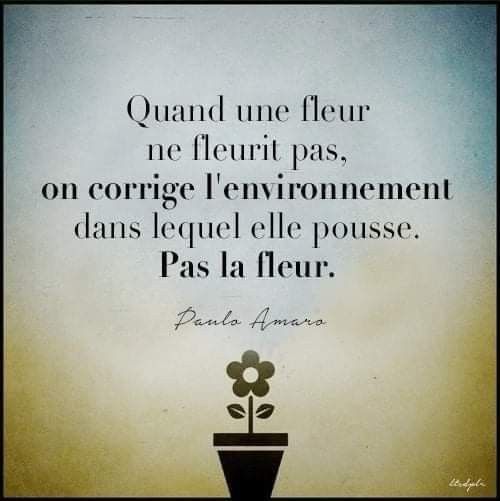 7948e54bb40bd24167a98e8c9783b0ae