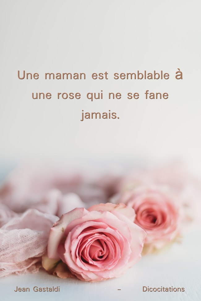 une-maman-est-semblable-a-une-rose-qui-ne-se-fane-jamais