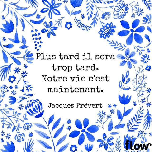 5dedcd7a62aeccb461b2d86d1502673a