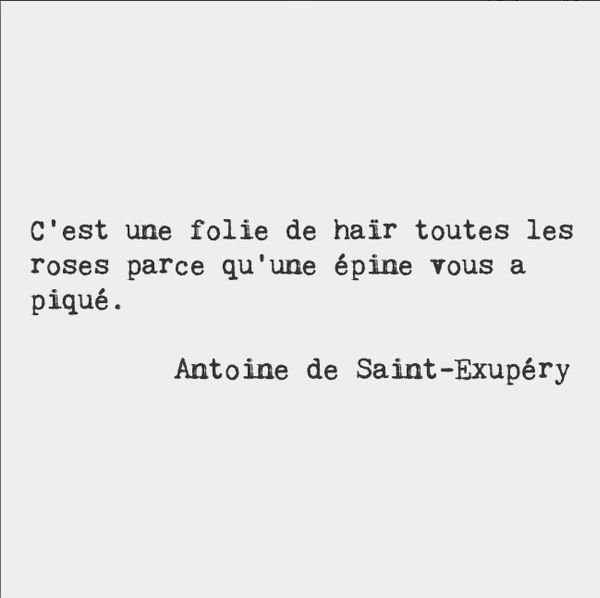 ad5f5daf0066788586c86b0b27de085b (1)