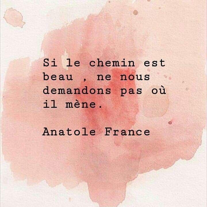 fdf9041057f74ce2ebb4ed826795a04c (1)